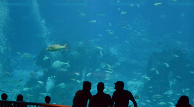 Improving your code by using IntelliJ’s Inspections feature