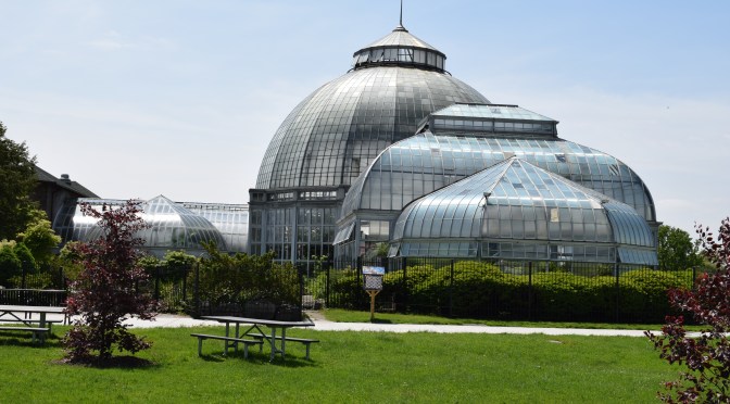 Removing all digits, non-digits, whitespaces (from Strings) and other usages of replaceAll