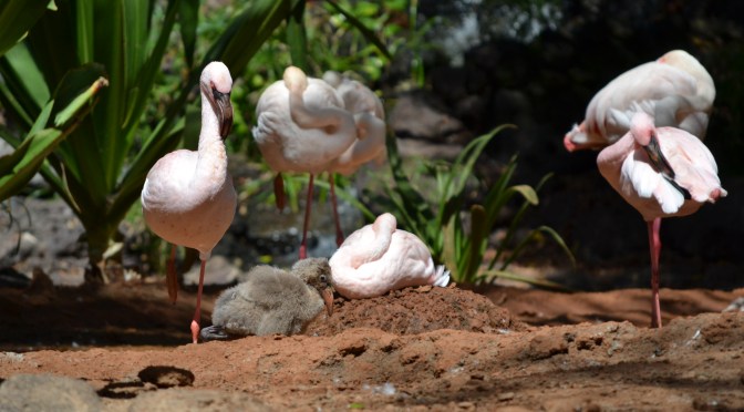 Automated testing of translations by using property files