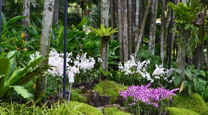 Using HashMaps in automated tests