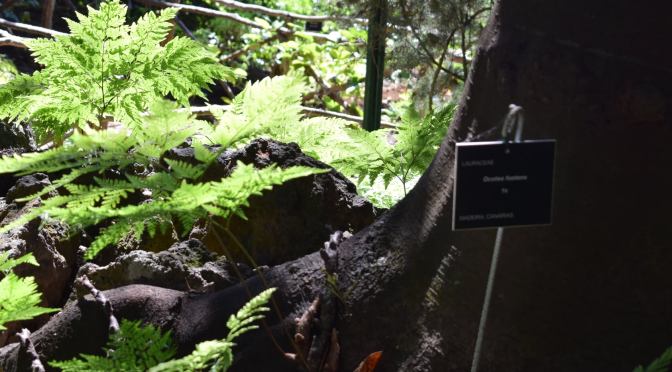 A matrix for when a bug only reproduces in one environment