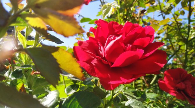 Joining multiple for loops in Python with ‘chain’ for repeating the same check for multiple groups of indexes